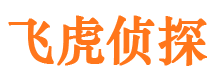 平阴侦探公司